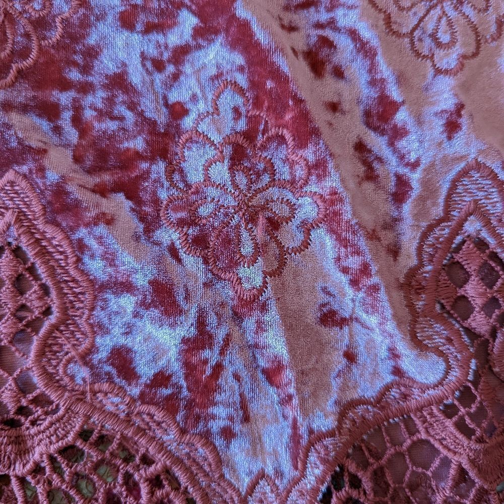 Altard State velvet top - Picture 4 of 6